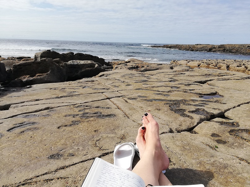 41990944_522517134856705_7032335646651842560_n 3