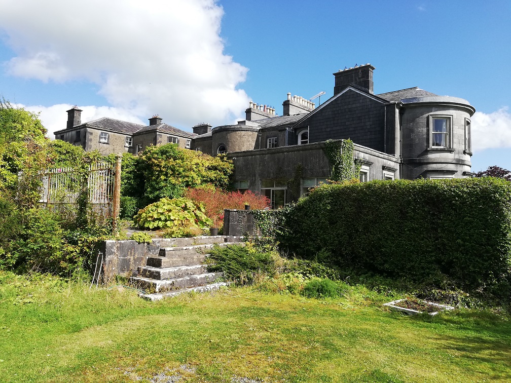 House and back patio